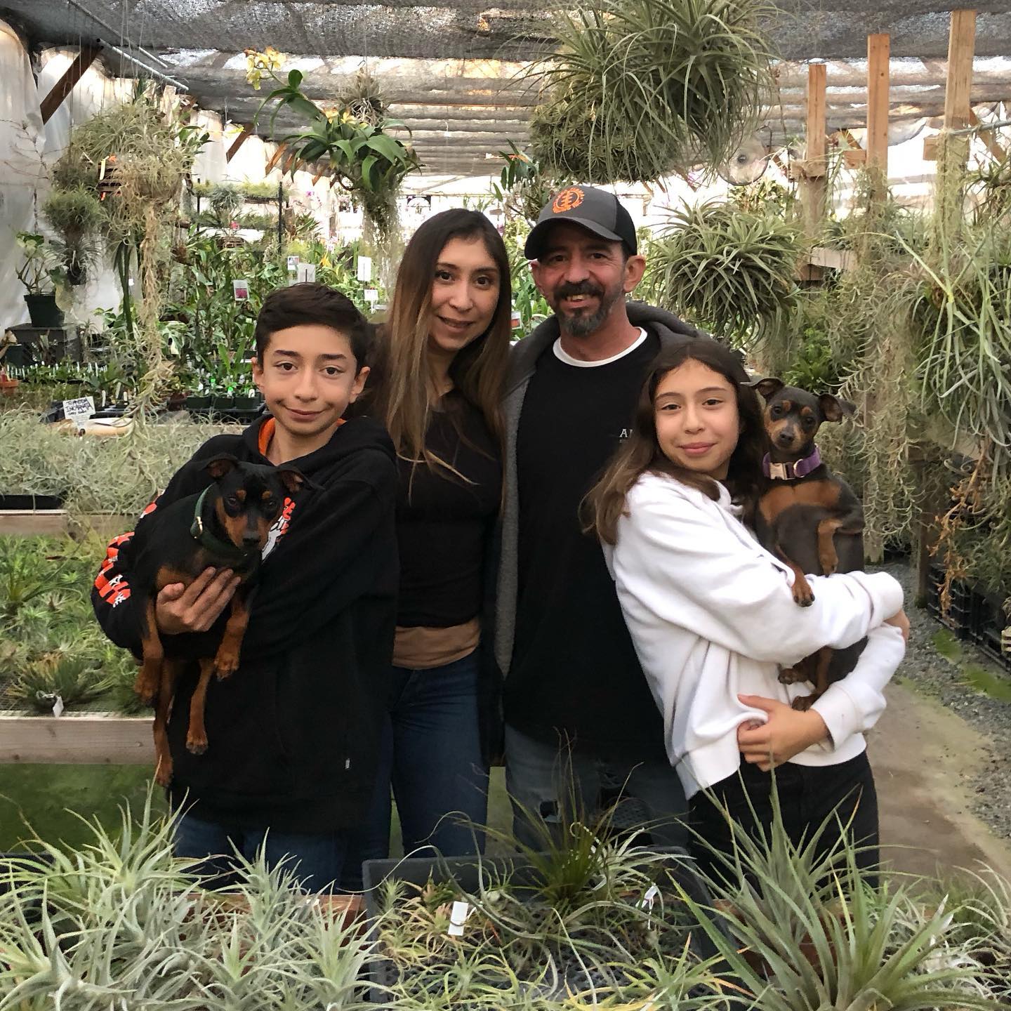 Pretty Flower - Image 2